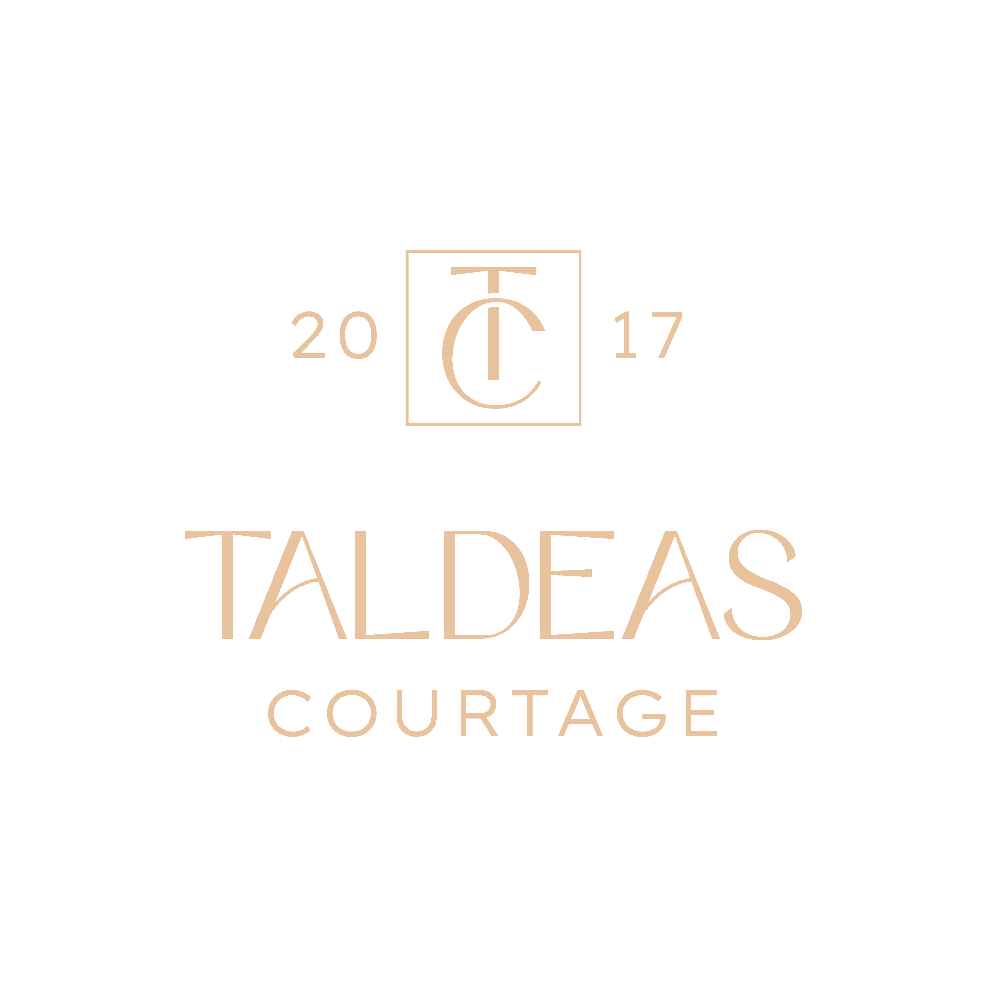 Taldeas Courtage : Groupe de courtage expert en prêt immobilier, financement professionnel et assurance emprunteur.