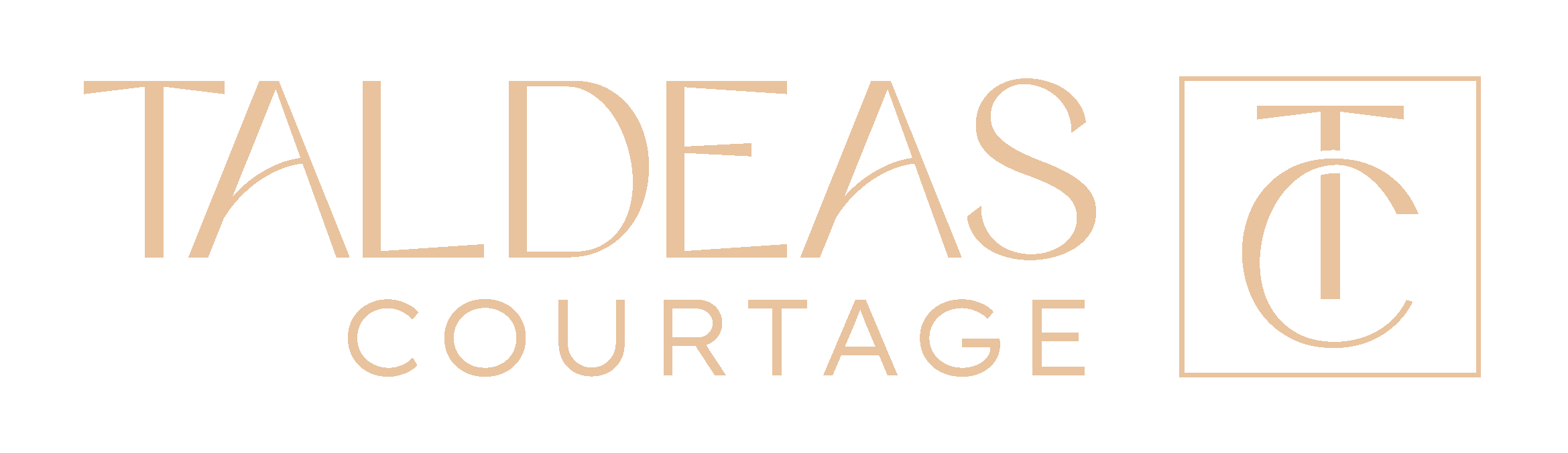 Taldeas Courtage : Groupe de courtage expert en prêt immobilier, financement professionnel et assurance emprunteur.