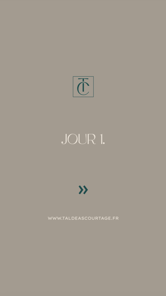 Couverture réel jour 1 séminaire 2025 TALDEAS COURTAGE