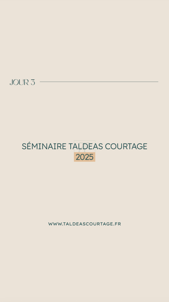 Couverture réel jour 3 séminaire 2025 TALDEAS COURTAGE